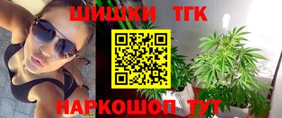 индика Новодвинск